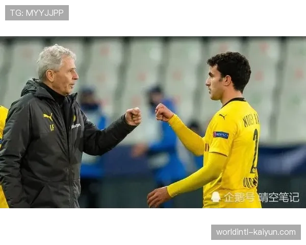 多特点球疑云持续发酵 主裁判官方解释拉扯动作属正常比赛范围